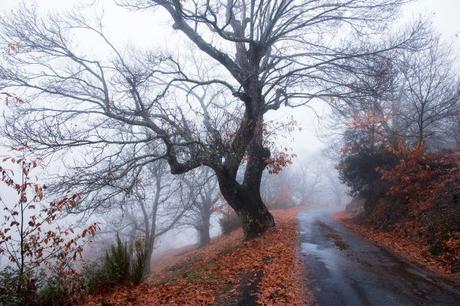 Ganadores del III Concurso de Fotografía de la RBALE