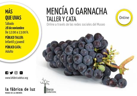 Mencía o garnacha, el nuevo ciclo de taller y cata vía telemática en el Museo de la Energía