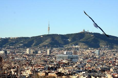 DISFRUTAR DE BARCELONA SIN PRISA, PERO SIN PAUSA Disfrutar de Barcelona