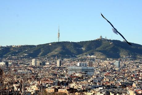 Disfrutar de Barcelona