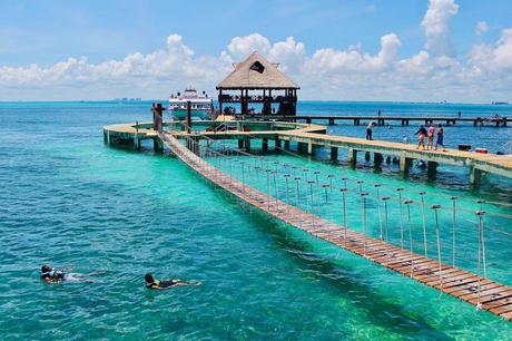 Descubre el habitat de Delfines en Islas Mujeres – Cancún