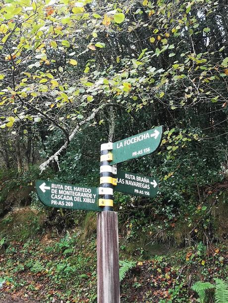 Navariegas y Xiblu (circuito por valle de Refuexo)