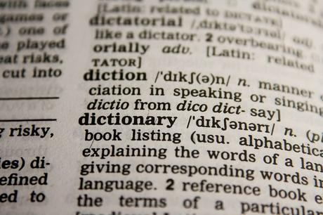 El diccionario no es el idioma y otros parecidos irrazonables
