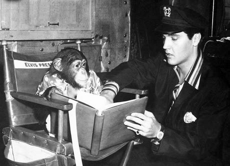 35 Curiosidades de Elvis Presley 35 Curiosidades de Elvis Presley