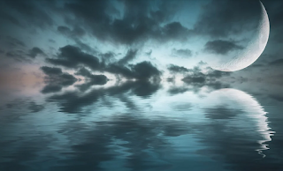 Científicos desarrollan mini retinas usando células madre.