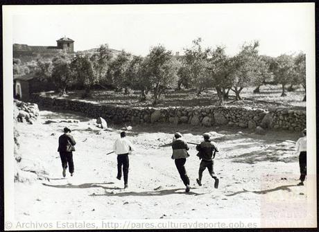 El Portal de Archivos españoles (PARES) Libera miles de Fotografías de la Guerra Civil El Portal de Archivos españoles (PARES) Libera miles de Fotografías de la Guerra Civil