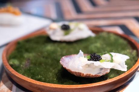 Deliciosa Marta nos habla de Bevir