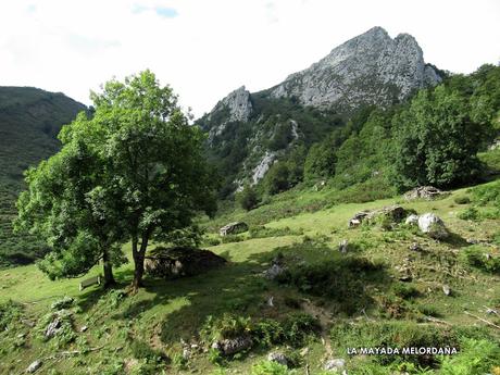 Orlé-Piedrafita-Incós-Saolla-Muniellu-Melordaña