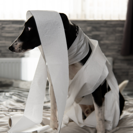 DEBATE: LECTURA A PRIMERA VISTA