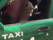 Asaltantes asesinan taxista Barrio Sebastián