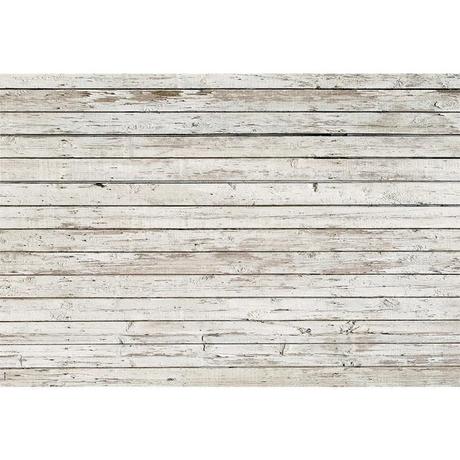 Fondos Fotografícos de Estudio