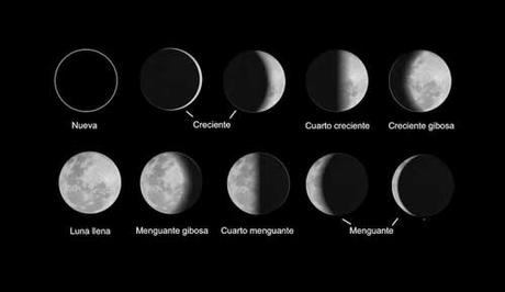8 fases lunares