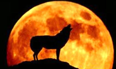 La influencia lunar en animales