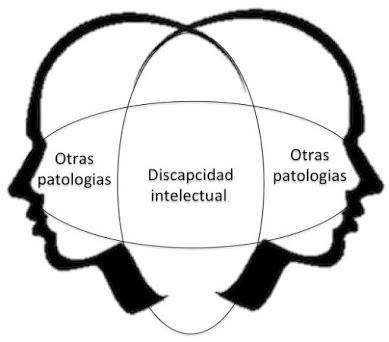 PATOLOGÍAS AÑADIDAS en la discapacidad por manu medina