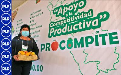GRL OFICIALIZA LANZAMIENTO PROCOMPITE 2020…
