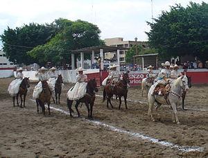 Patrones De Falda Para Montar A Caballo