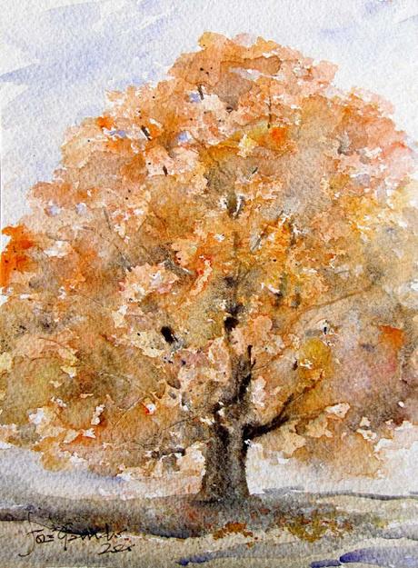 Árboles y paisajes de otoño