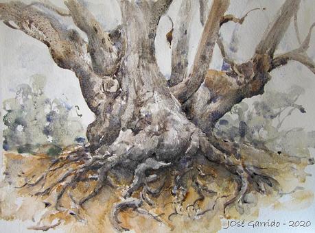 Árboles y paisajes de otoño