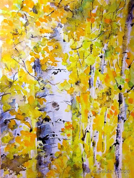 Árboles y paisajes de otoño