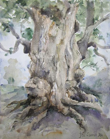 Árboles y paisajes de otoño