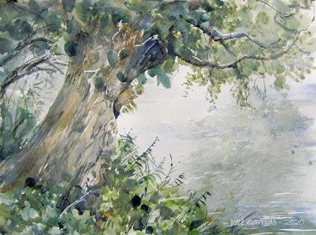 Árboles y paisajes de otoño