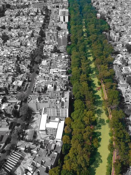 Canal Nacional CDMX: claves para preservar la identidad cultural a través de la restauración de un símbolo patrimonial