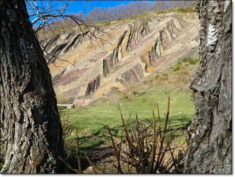 Ribero Pintado Ribero Pintado