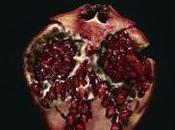 “Sol Medianoche (Saga Crepúsculo 5)”, Stephenie Meyer