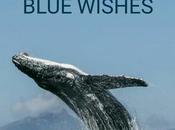 Blue Wishes