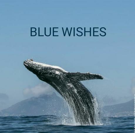 Blue Wishes