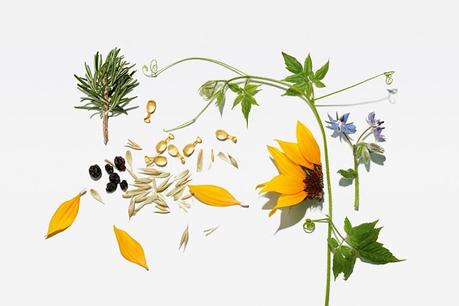 Cómo conseguir una piel más luminosa (y presumir de ella esta Navidad)