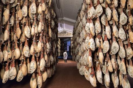 La Tentación Ibérica 4.0, Rodilsa da el salto digital