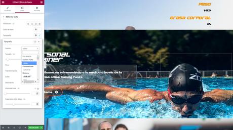 Como añadir fuentes o tipografías a Elementor