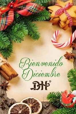 - Bienvenido Diciembre.