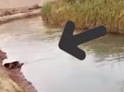 Cañete. ENCUENTRAN MUJER VIDA CANAL RIEGO...