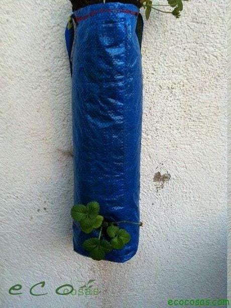 Como cultivar fresas en una bolsa de rafia reciclada 4