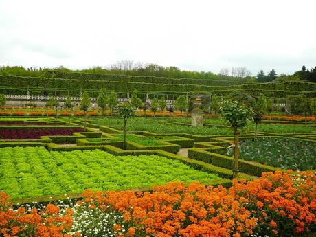 JARDINES DEL CASTILLO DE VILLANDRY