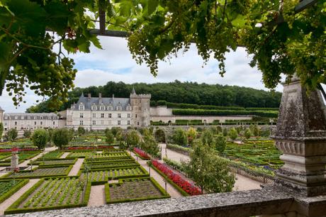 Hermosos Jardines del Castillo de Villandry en Francia