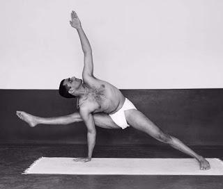 El enfrentamiento entre Vasishtha y Vishwamitra. El enfrentamiento entre Vasishtha y Vishwamitra.