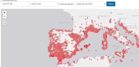 Curruca cabecinegra, un ave en expansión