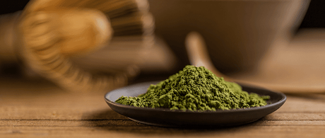 Kratom, la planta censurada por sus efectos medicinales