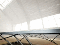 Elefante balanceador de telas de arañas