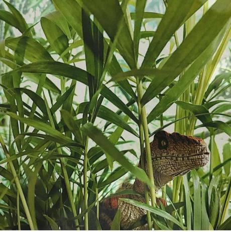 Planes para el fin de semana (Y puente) del 4 al 8 de diciembre 2020