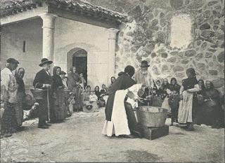 Sopa boba en el siglo XXI