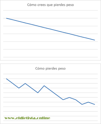 Cuál es la mejor báscula profesional