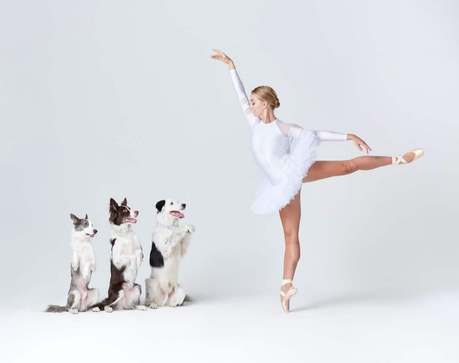 Bailarines y perros Bailarines y perros