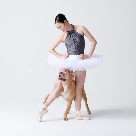 Bailarines y perros Bailarines y perros