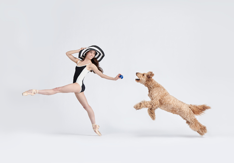 Bailarines y perros Bailarines y perros