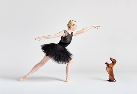 Bailarines y perros Bailarines y perros