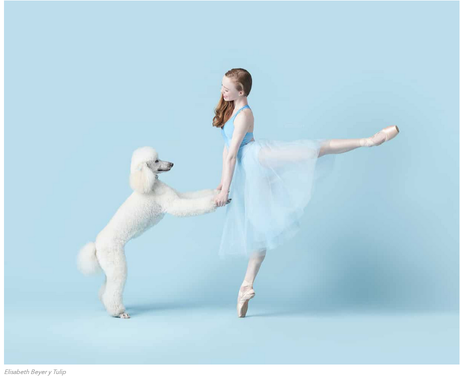 Bailarines y perros Bailarines y perros